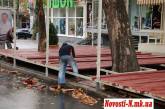Николаевские предприниматели креативно разобрались с деревьями, которые мешали их летней площадке