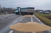 Скандал із розсипаним зерном на кордоні. Що говорить Польща та як реагує Україна