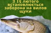 Миколаївським рибалкам заборонили ловити щуку: у зв'язку з чим та на який період