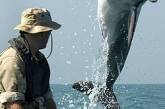 Оборонный прорыв: СМИ утверждают, что в Украине возобновили подготовку боевых дельфинов
