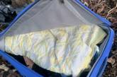 У міському парку Тернополя діти знайшли валізу з трупом жінки
