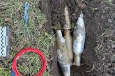 Миколаївські вибухотехніки знищили ворожі гранати та боєприпас, кинуті у лісосмузі (відео)