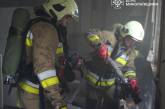 В Николаеве горели дом и мебельный цех: тушили спасатели (видео)