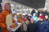 У Миколаївському зоопарку відзначили День полярного ведмедя