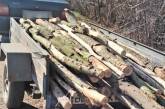 В Николаевской области поймали мужчину, перевозившего древесину без документов