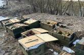 На Сумщині знайшли схованку з боєприпасами для ДРГ росіян. Тепер їх передадуть ЗСУ
