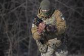 Пограничники с помощью дрона уничтожили группу оккупантов в Харьковской области (видео)