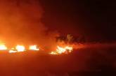 В Николаеве масштабный пожар: неизвестные подожгли камыши (видео)