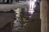 Центр Николаева затапливает канализацией - несколько улиц остались без воды (видео)