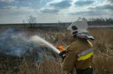 В Николаевской области за сутки выгорело 8 га лесов и полей, причина — поджог (фото)