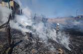 На Миколаївщині через пожежу в очереті ледь не згорів житловий будинок