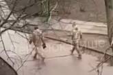 В Южноукраинске сотрудники ТЦК погнались за местным жителем, но не смогли догнать (видео)