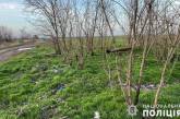 В Николаевской области войска РФ оставили на дереве противотанковую гранату: пришлось обезвреживать
