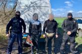В Николаевской области задержали «черных» лесорубов