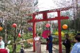 Миколаївський зоопарк запрошує на свято цвітіння сакур – Ханамі