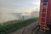 На Миколаївщині навмисне підпалюють очерет — за добу сталося 4 пожежі в екосистемах  