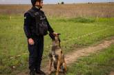 На Миколаївщині мінно-пошукові собаки за тиждень обстежили 3 700 м² території (фото)