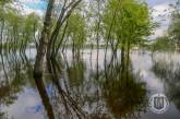 В Киеве вода в Днепре поднялась до рекордного уровня (фото, видео)