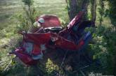 Под Николаевом ВАЗ слетел в кювет и врезался в дерево: водителя из авто вырезали спасатели (фото)