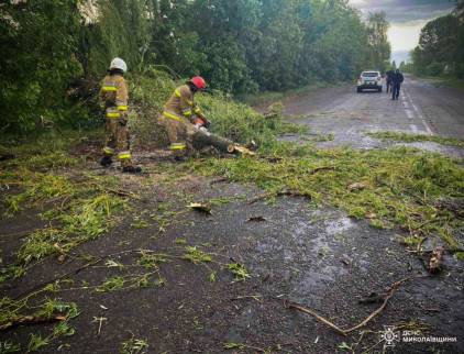 Негода у Миколаївській області: трасу завалило деревами
