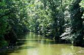 На Миколаївщині незаконно передали 1,5 га лісів у прибрежних зонах Чорного моря та Тилігульського лиману