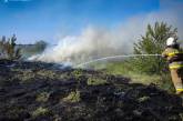 В Николаевской области за сутки трижды горели мусор и сухая трава 