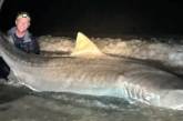 Рыбак неожиданно поймал почти четырехметровую акулу