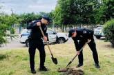 Поліцейські разом з мешканцями висадили нові дерева у Вознесенському районі