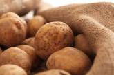 В Украине цены на старый картофель уже в три с половиной раза превысили прошлогодние