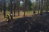Балабановский лес, жилой дом и кукуруза в прицепе: в Николаевской области за сутки было 15 пожаров  