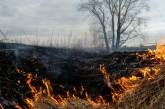 Пожары из-за обстрелов в Николаевской области: ущерб экологии оценили в 2,3 миллиона