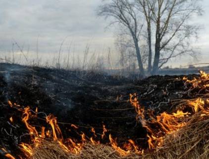 Пожежі через обстріл у Миколаївській області: збитки екології оцінили у 2,3 мільйона