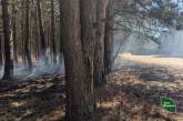 Лісники ліквідували пожежу в Балабанівському лісі, яка почалася через кинутий недопалок