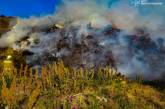 В Николаеве горит свалка (фото, видео)