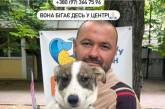 У Миколаєві городянин забрав бездомну собаку з виставки, а потім викинув її