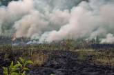 В Николаевской области пожары в экосистемах: за сутки горели более 16 га