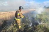На Миколаївщині спалахнуло поле ячменю