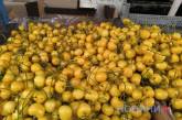 Червневий ринок у Миколаєві: велика кількість овочів та фруктів, але ціни «кусаються»
