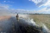 На Миколаївщині мало не згоріло поле ячменю: кількість «відкритих» пожеж збільшилася вдвічі
