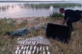 В Николаевской области поймали рыбака с сетями: нанес ущерб на 120000 гривен