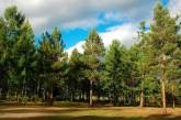 На Миколаївщині намагаються повернути державі землі лісу, які коштують 60 мільйонів