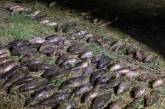 Мешканця Миколаївщини підозрюють у незаконному вилові риби на 1,2 млн грн