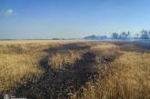 У Миколаївській області за добу вигоріло 13 га пшениці, майже 3 га ячменю та 2 га лісу