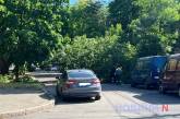 У центрі Миколаєва на дорогу впало дерево - рух перекрито