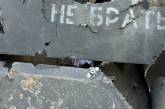 Миколаївські морпіхи показали, як знищили «шахед» (відео)