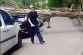 У Миколаєві на авто впала величезна тополя (відео)