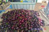 Прилавки рынков в Николаеве заполонили фрукты и ягоды: какие цены
