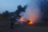У Миколаївській області згоріли Opel Grandland та комбайн