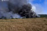 На Миколаївщині вогонь знищив 30 га зернових, понад 150 га вдалося врятувати