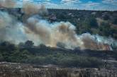 На Миколаївщині активізувалися підпалювачі трави: за добу було 29 пожеж